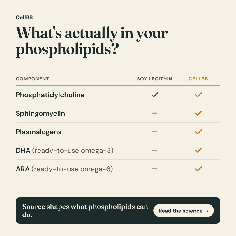 CellBB's Bioactive Phospholipids for Healthy Longevity