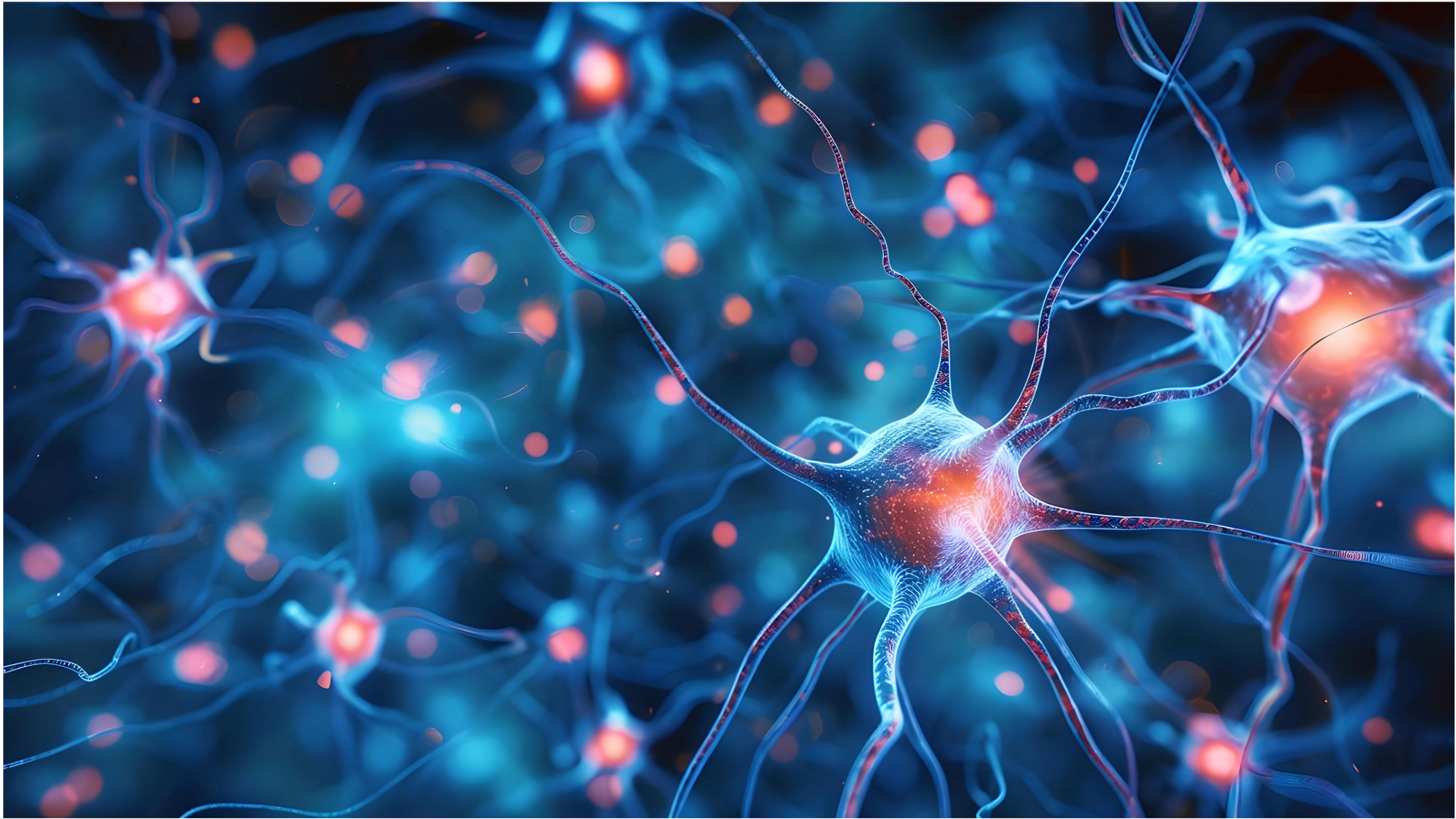 CellBB's Bioactive Phospholipids for Brain and Cognitive Health