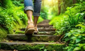 Stay Strong This Winter:  Why Your NK Cells Are the Ultimate Cold and Flu Fighters   (and How CellBB Keeps Them Fighting Fit)