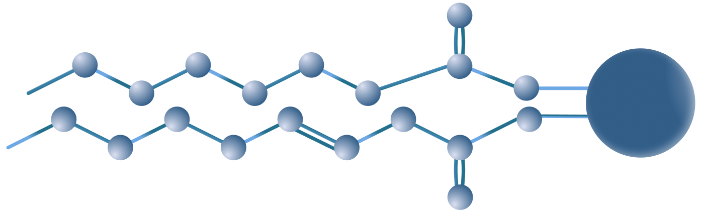 CellBB molecule diagram