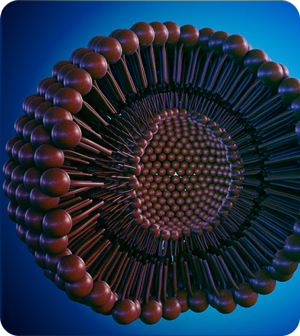 Ovosan — the original phospholipid formula